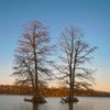 williammorgan1